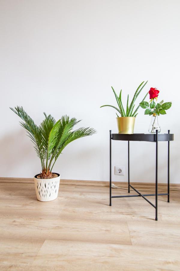 Best Rated Central Apartment Vienna - Ac, Wifi, 24H7Days Self Check-In, Board Games, Netflix Exteriér fotografie